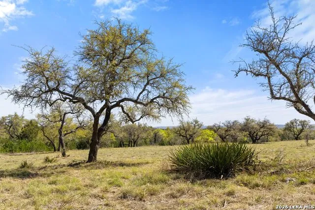 19 STONE RIDGE MOUNTAIN DR Round Mountain, TX 78663