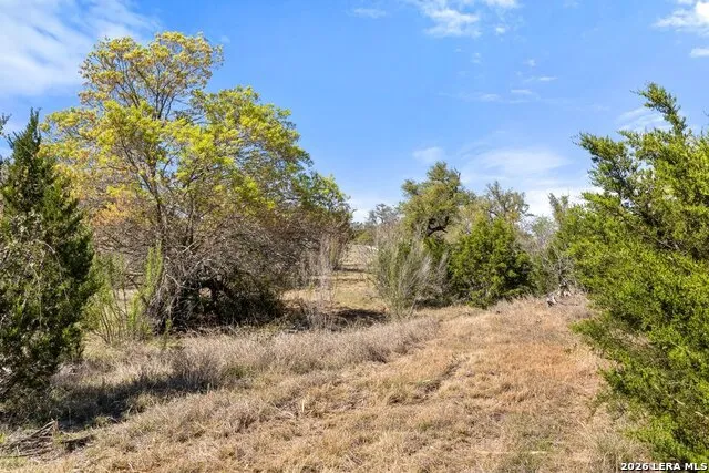 19 STONE RIDGE MOUNTAIN DR Round Mountain, TX 78663