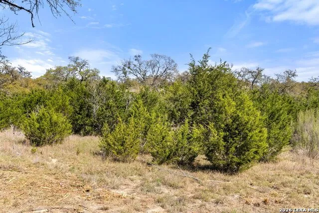 19 STONE RIDGE MOUNTAIN DR Round Mountain, TX 78663