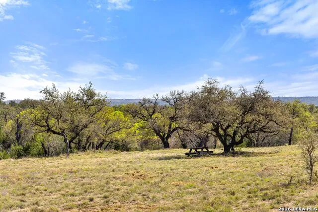 19 STONE RIDGE MOUNTAIN DR Round Mountain, TX 78663