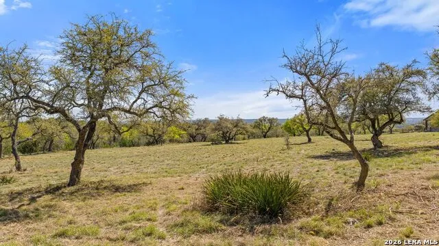 19 STONE RIDGE MOUNTAIN DR Round Mountain, TX 78663