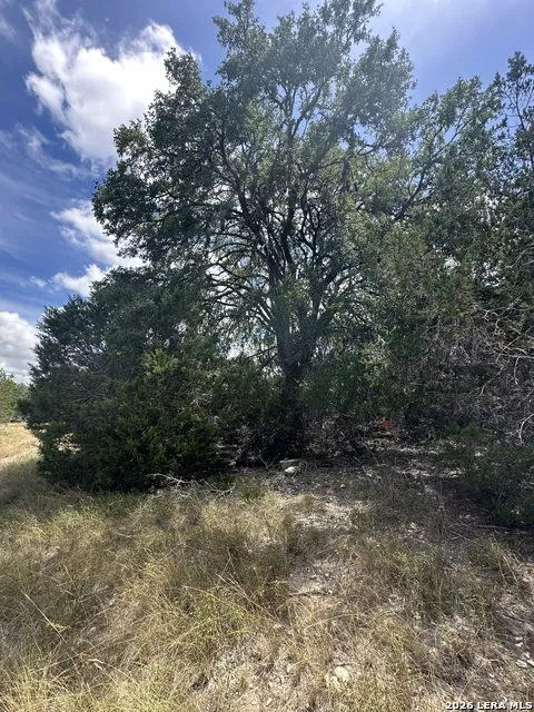 393 US Highway 87 Comfort, TX 78013