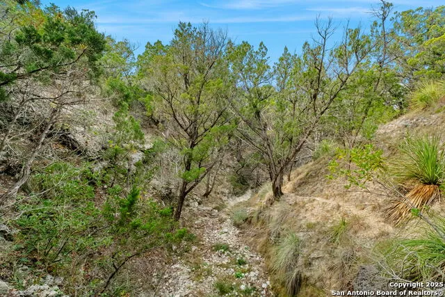 411 Valley View Pipe Creek, TX 78063