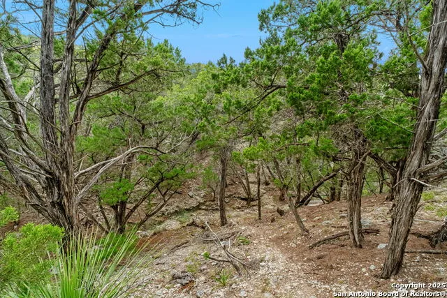 411 Valley View Pipe Creek, TX 78063