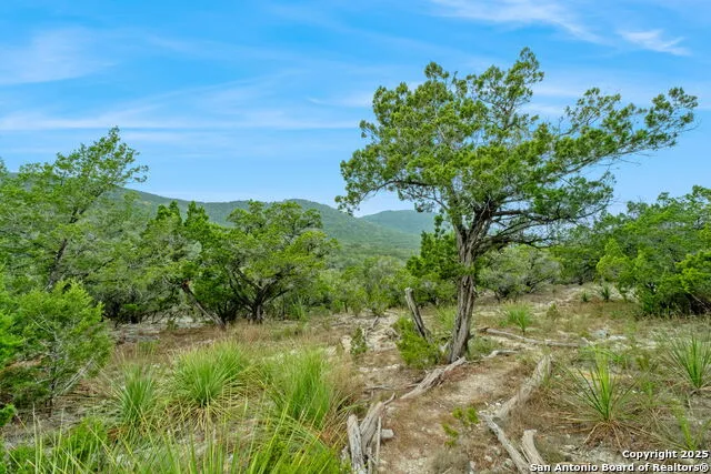 411 Valley View Pipe Creek, TX 78063