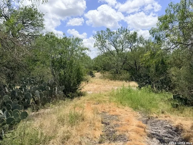 TBD Fm 791 Campbellton, TX 78008