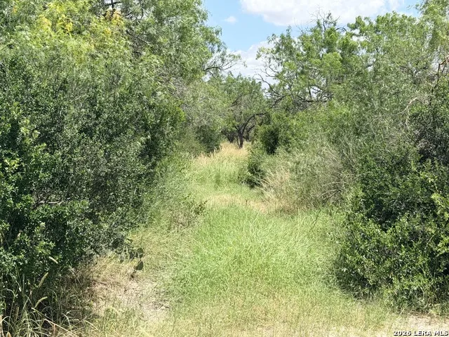 TBD Fm 791 Campbellton, TX 78008