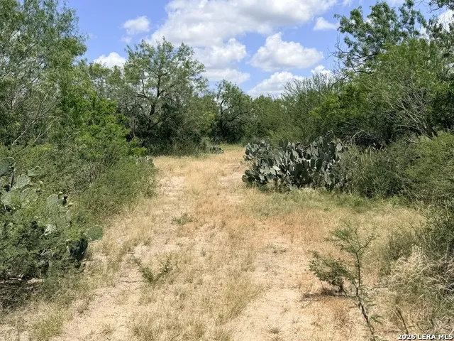 TBD Fm 791 Campbellton, TX 78008