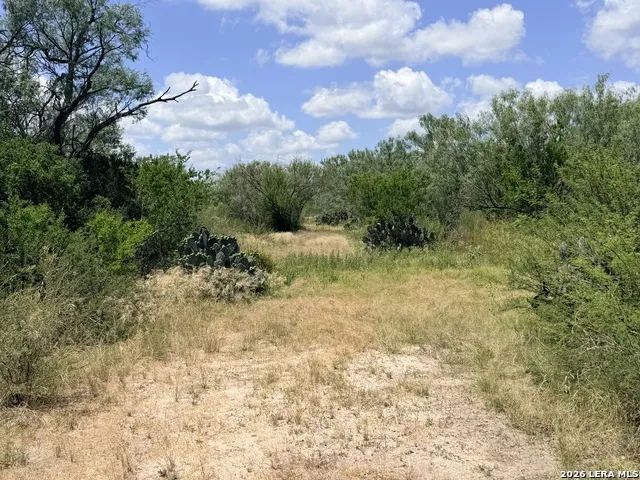 TBD Fm 791 Campbellton, TX 78008
