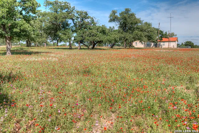 82 Bell Mountain Willow City, TX 78675