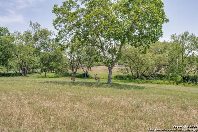 10745 ROSEMAR LN Adkins, TX 78101