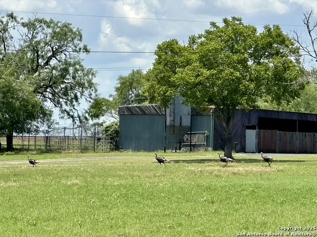 10745 ROSEMAR LN Adkins, TX 78101