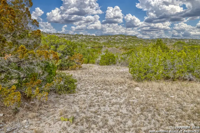 25 SD 65065  Dusty Rose Ranch Rocksprings, TX 78880
