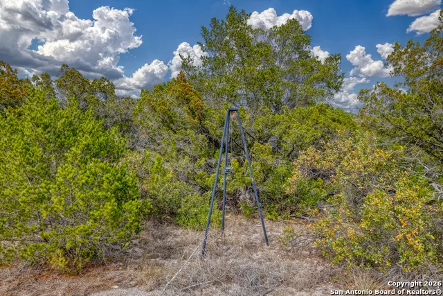 25 SD 65065  Dusty Rose Ranch Rocksprings, TX 78880
