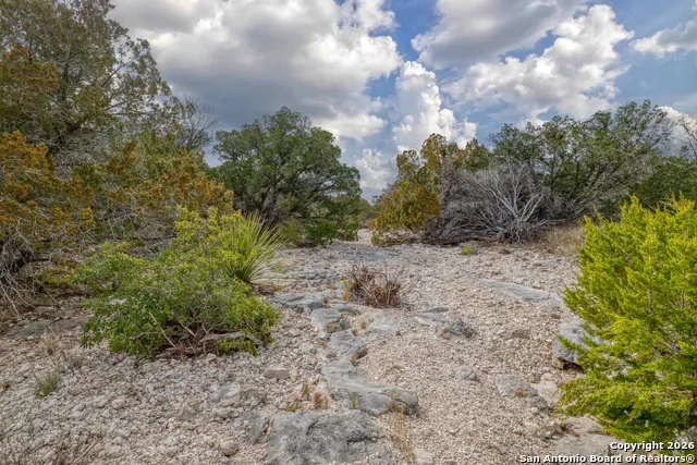 25 SD 65065  Dusty Rose Ranch Rocksprings, TX 78880