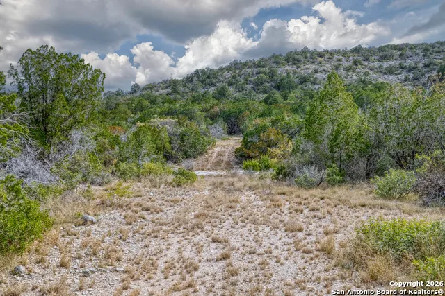 25 SD 65065  Dusty Rose Ranch Rocksprings, TX 78880