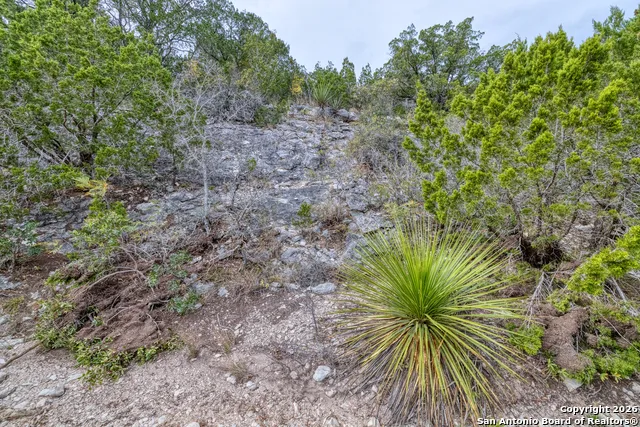 25 SD 65065  Dusty Rose Ranch Rocksprings, TX 78880