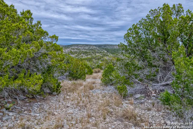 25 SD 65065  Dusty Rose Ranch Rocksprings, TX 78880