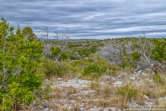 25 SD 65065  Dusty Rose Ranch Rocksprings, TX 78880