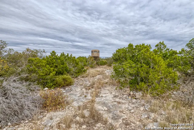 25 SD 65065  Dusty Rose Ranch Rocksprings, TX 78880