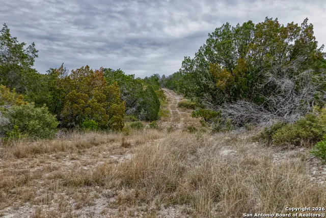 25 SD 65065  Dusty Rose Ranch Rocksprings, TX 78880