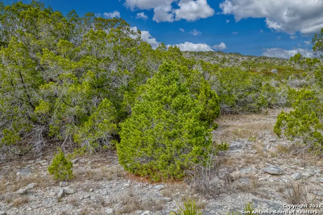 25 SD 65065  Dusty Rose Ranch Rocksprings, TX 78880