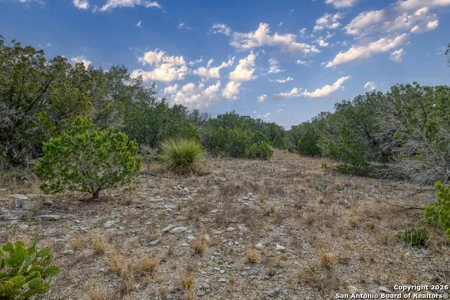 25 SD 65065  Dusty Rose Ranch Rocksprings, TX 78880