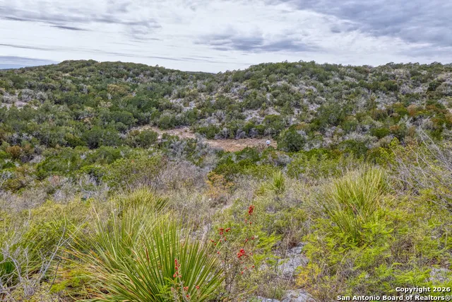 25 SD 65065  Dusty Rose Ranch Rocksprings, TX 78880
