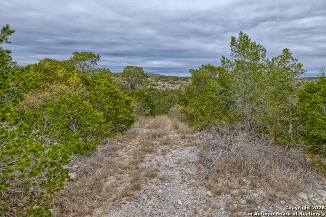 25 SD 65065  Dusty Rose Ranch Rocksprings, TX 78880