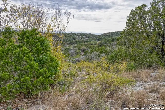 25 SD 65065  Dusty Rose Ranch Rocksprings, TX 78880
