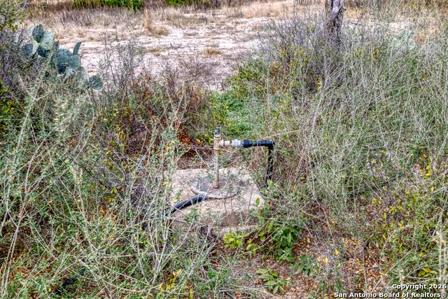 25 SD 65065  Dusty Rose Ranch Rocksprings, TX 78880