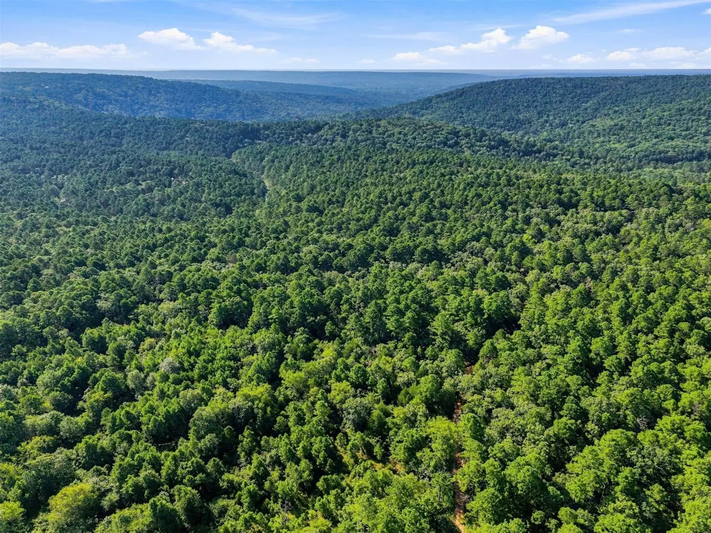 45 Buck Creek Road Moyers, OK 74557