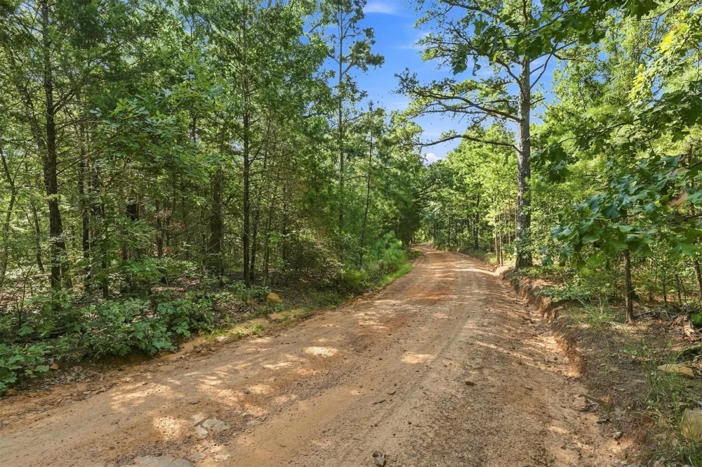 45 Buck Creek Road Moyers, OK 74557
