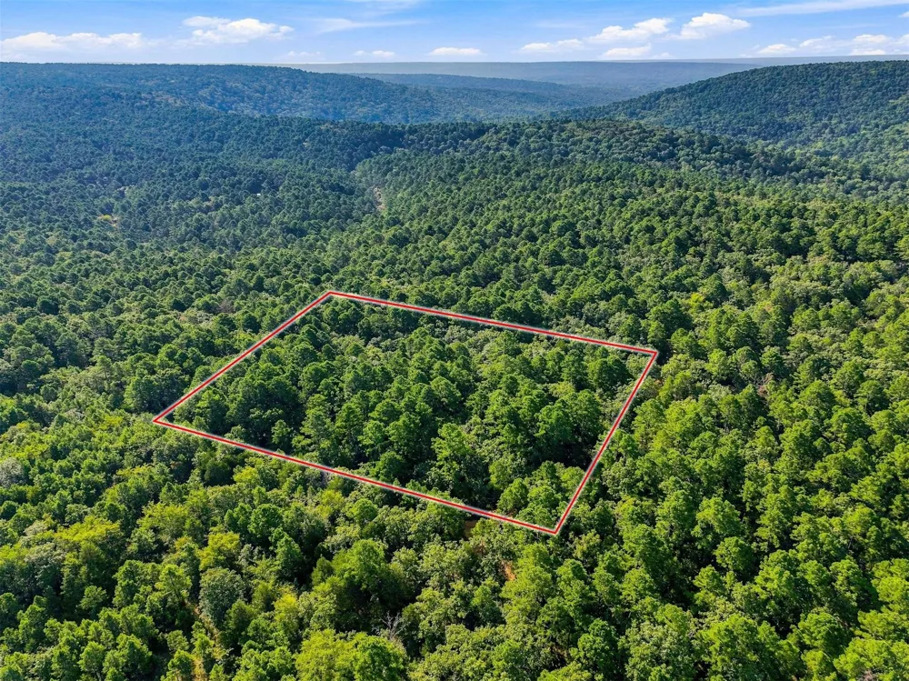 45 Buck Creek Road Moyers, OK 74557
