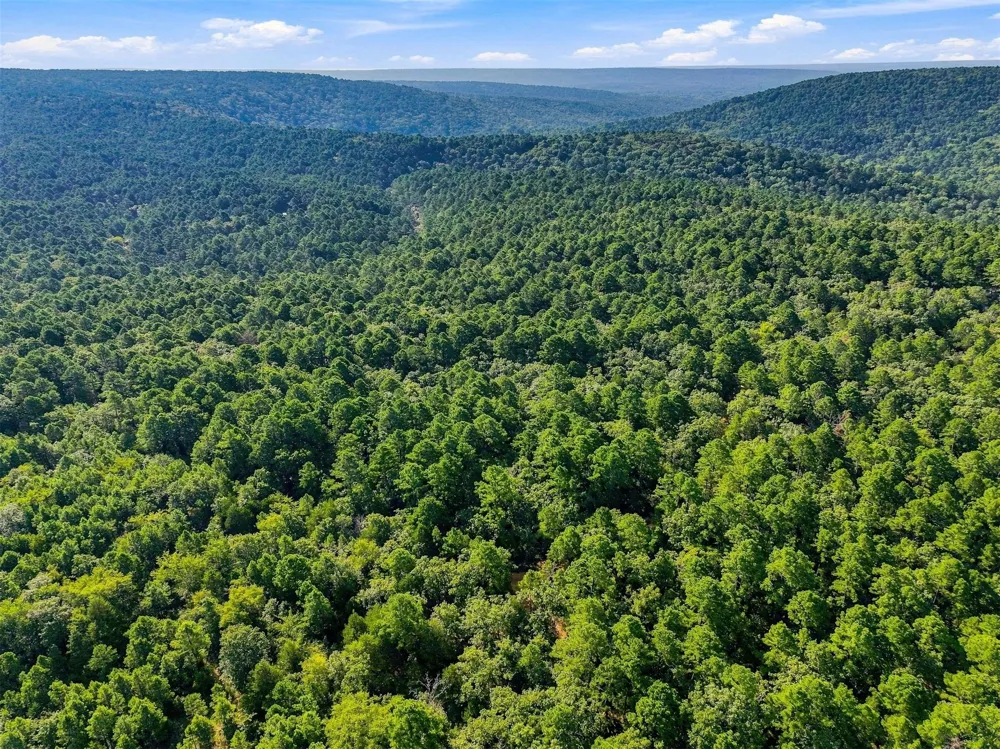 45 Buck Creek Road Moyers, OK 74557