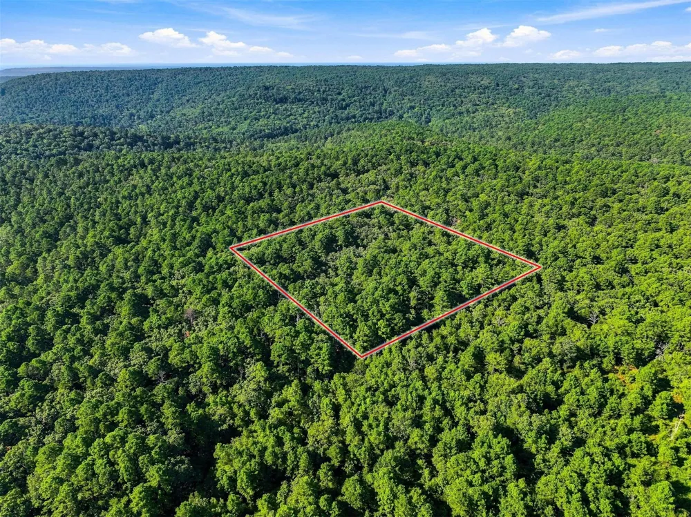 45 Buck Creek Road Moyers, OK 74557