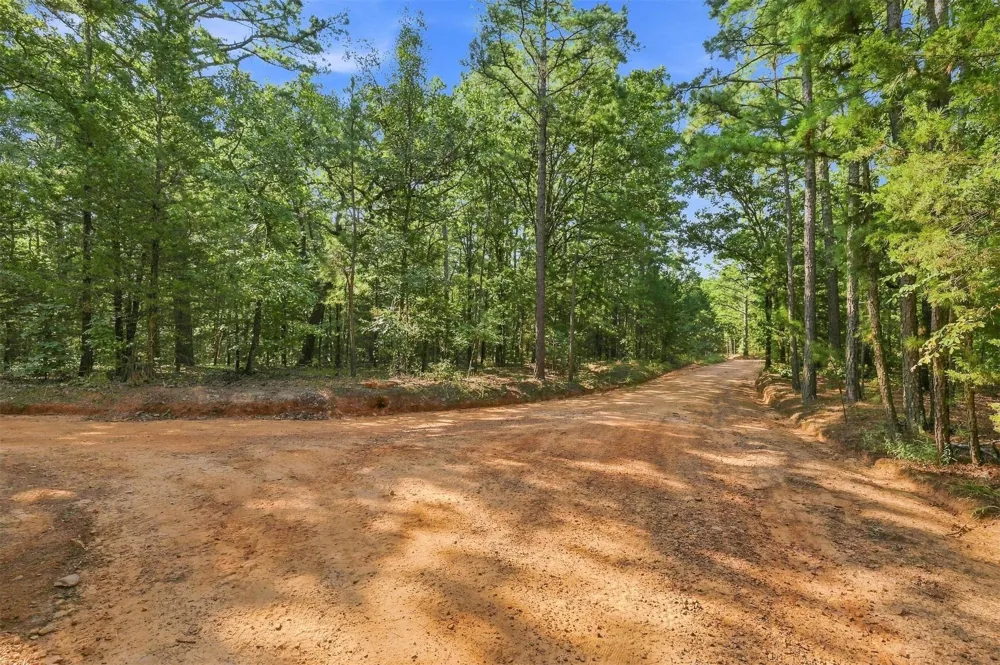 45 Buck Creek Road Moyers, OK 74557