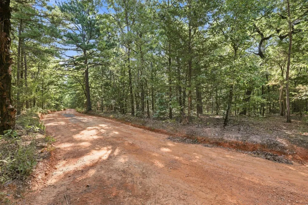 45 Buck Creek Road Moyers, OK 74557