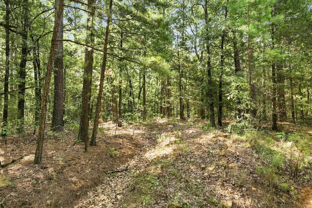 45 Buck Creek Road Moyers, OK 74557