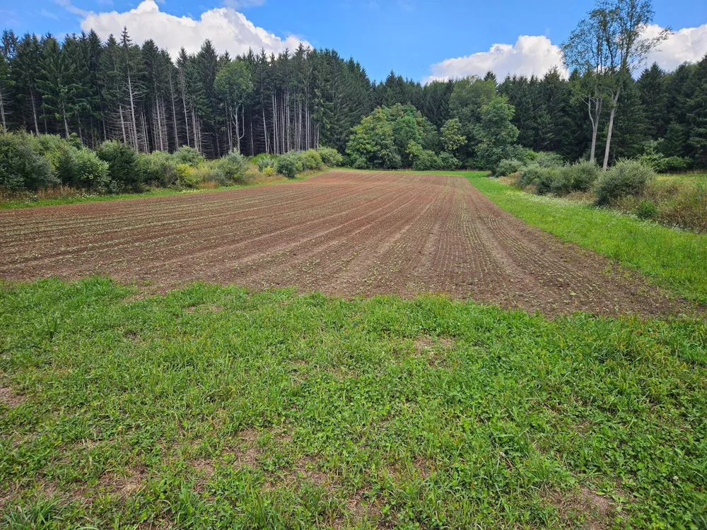 E Chauvez Road Custer, MI 49405