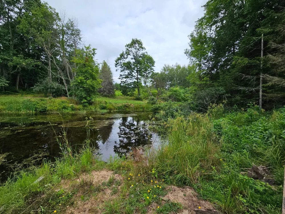 E Chauvez Road Custer, MI 49405
