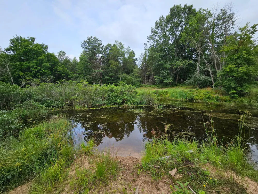 E Chauvez Road Custer, MI 49405