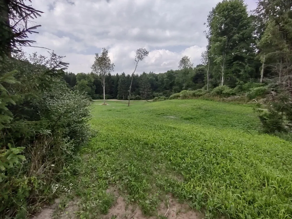 E Chauvez Road Custer, MI 49405
