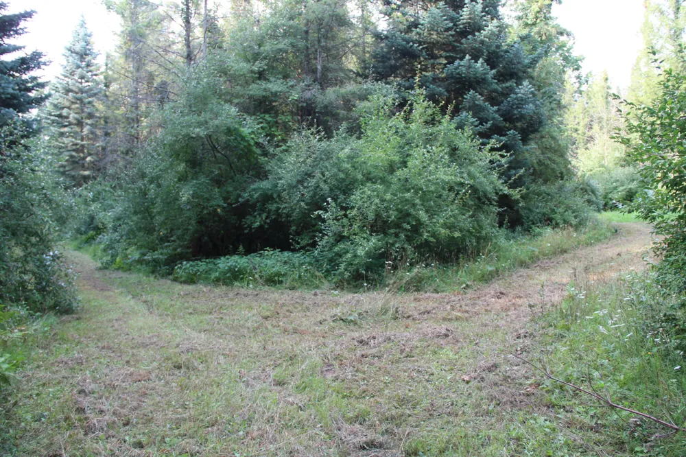 E Chauvez Road Custer, MI 49405