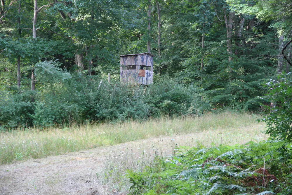 E Chauvez Road Custer, MI 49405