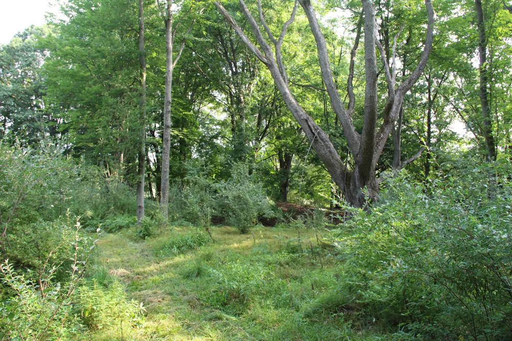 E Chauvez Road Custer, MI 49405