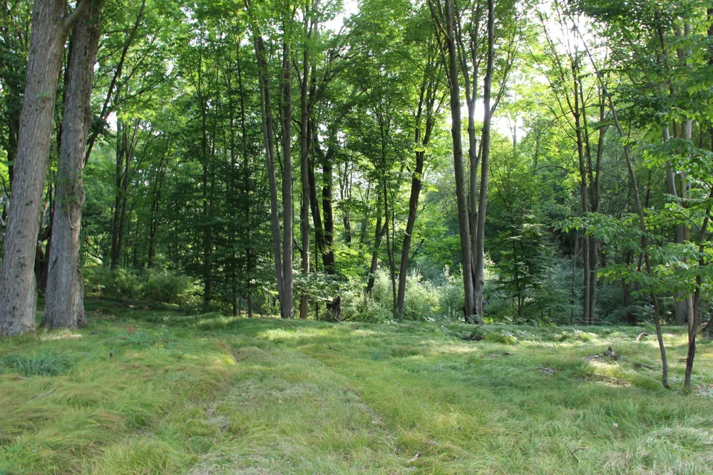 E Chauvez Road Custer, MI 49405