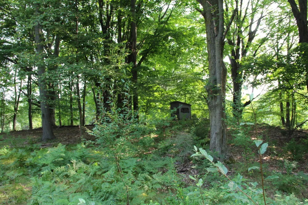 E Chauvez Road Custer, MI 49405