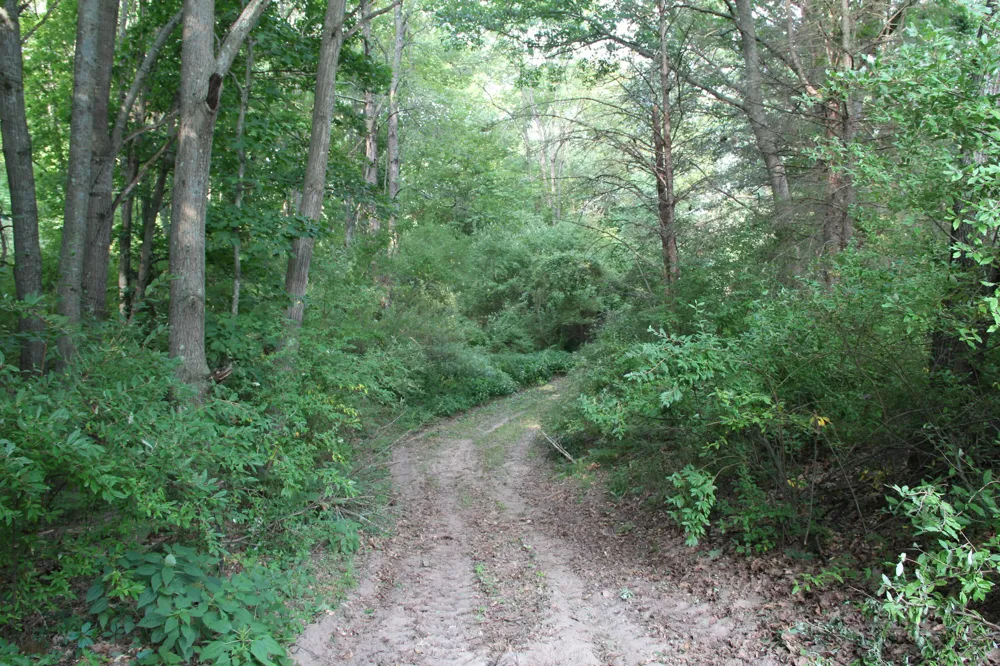 E Chauvez Road Custer, MI 49405