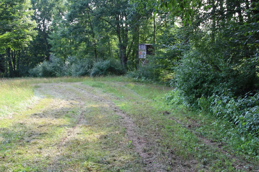 E Chauvez Road Custer, MI 49405